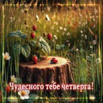 Искренне-добрая летняя гиф-открытка Чудесного тебе четверга