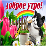 Картинка доброе утро с котенком. Красивых событий