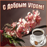 Картинка доброе утро с орхидеями. Света и улыбок