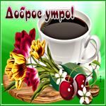 Картинка доброе утро с тюльпанами. Света и тепла каждый день