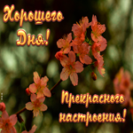 Картинка хорошего дня и прекрасного настроения. Улыбок и уюта всегда