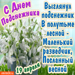 С днём подснежника. Света и тепла