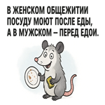 Картинка с прикольной фразой