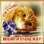 Картинка скучаю и люблю. Радости и света вокруг