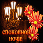 Картинка спокойной ночи с фонарем. Счастья родным
