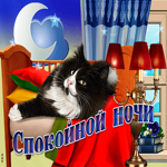 Картинка спокойной ночи с котом. Удачи всегда