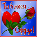Картинка ты в моем сердце. Чудесных открытий