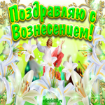 Вознесение Господне. Радости и тепла каждый день