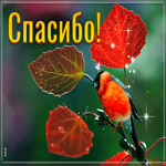 Хорошая открытка спасибо. Тепла близких