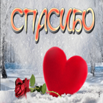 Хорошая сердечная открытка спасибо