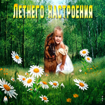 Миленькая открытка Хорошего летнего настроения
