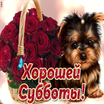 Хорошей субботы. Улыбок и добра рядом