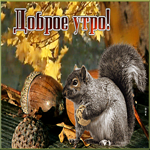 Классная открытка доброе утро. Улыбок судьбы