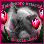 Классных выходных, приятного отдыха тебе