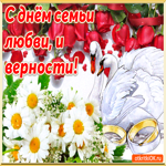 На день семьи, любви и верности. Добрых встреч и радости