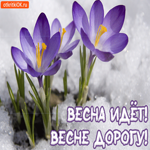 С Первым Днём Весны. Улыбок и счастья рядом каждый миг