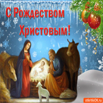 С Рождеством Христовым. Ласковых моментов