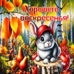 Красивая, волшебная осенняя гифка Хорошего воскресенья