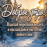 Красивого начала дня и приятной атмосферы вокруг.