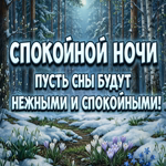 Красивых снов, тишины и душевного спокойствия.