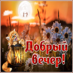 Красочная открытка добрый вечер. Радости в сердце