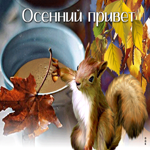 Креативная открытка осенний привет. Добрых дней
