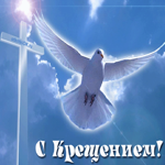 Крещение Господне! Открытка с голубем