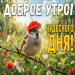 Летнего тепла и радости!