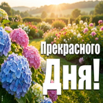 Лёгкого и светлого дня