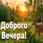 Лёгкого отдыха и приятных мыслей.