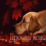 Магическая, загадочная гиф-открытка Прости меня