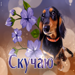 Магнетическая открытка с милой собакой Скучаю