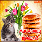 Масленица Пришла. Тепла и счастья повсюду