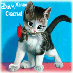 Международный день счастья! С красивым котиком
