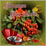 Милая открытка хорошего вам дня. Теплых улыбок
