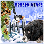 Милая открытка прости меня и прими эту открытку