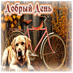 Милая, приятная осенняя гифка Добрый день