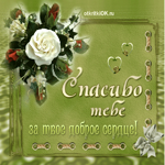 Благодарю! Спасибо за доброе сердце