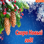 Скоро Новый год. Новых идей