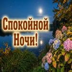 Мягкой ночи, красивых снов и тёплого чувства уюта.