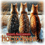 Нежного, белоснежного настроения