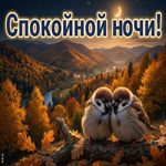 Ночь украсила город осенними огнями.