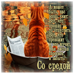 Очаровательная и уютная осенняя гифка Со средой