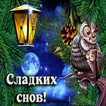 Очаровательная гифка с совой сладких снов