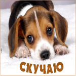 Очень милая открытка скучаю. Радости от людей рядом