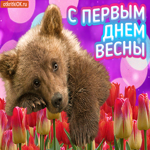 Первый День Весны. Радости и удачи повсюду