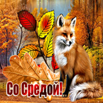 Оригинальная открытка со средой. Теплых воспоминаний
