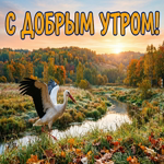 Осень приносит особую атмосферу в каждое утро.