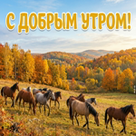 Осенние листья кружатся, а новый день начинается.