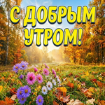 Осенний воздух, яркие листья и новый день впереди.